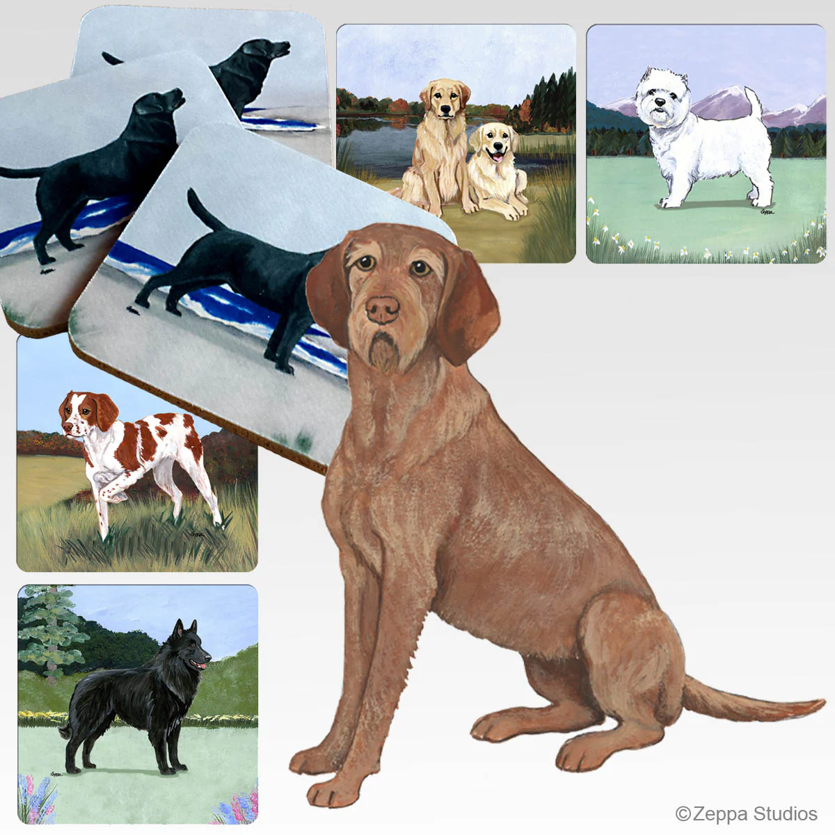Wirehaired Vizsla Scenic Square Coaster